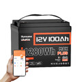 HumSienk 12V 100Ah LiFePO4 Akku Lithium Batterie Bluetooth BMS 110A Wohnmobile