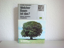Welcher Baum ist das? (Bäume, Sträucher, Ziergehölze) von Aichele Schwegler