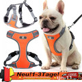 Hundegeschirr Katzengeschirr Welpengeschirr Softgeschirr Reflektierend und Leine