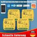 Tuya Wifi Smart Rolladen Jalousien Schalter Modul Zeitschaltuhr Alexa Google DEC
