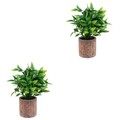  2 Count Pflanzen Artificial Künstliche in Innenräumen Kleine Kunstpflanze