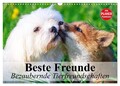 Beste Freunde. Bezaubernde Tierfreundschaften (Wandkalender 2026 DIN A3 quer), C