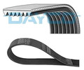 Keilriemen,mehrrippig 7PK1784 DAYCO für RENAULT HONDA