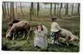 16 382- Ostern Kinder im Wald mit Schafen 1907