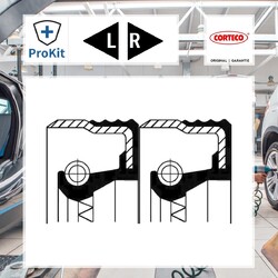 2x ORIGINAL® Corteco Wellendichtring, Differential Hinten, Links, Rechts