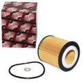 ASHIKA ÖLFILTER FILTEREINSATZ passend für BMW 1 3 5 6 7 X1 X3 X5 X6 Z4 |