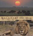 Kalahari: Wildes Afrika,Lorenz Andreas Fischer,Judith Burri