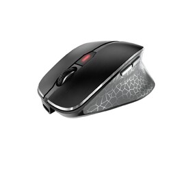 CHERRY MW 8C Ergo Maus