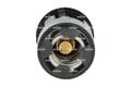 NRF 725133 Thermostat, Kühlmittel für AUDI SEAT SKODA VW