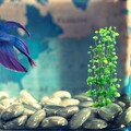  2 stücke Kunststoff Simulation Wasser Gras Aquarium Dekorative Wasserpflanzen