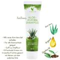 Aloe-Jojoba Shampoo-40% reines Aloe-Vera-Gel enthalten-Für alle Haarzustände gee