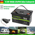 LiFePO4 Akku 12V 100Ah Bluetooth Lithium Batterie RV Marine Wohnmobil /Ladegerät