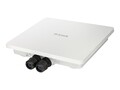 D-Link Wireless AC1200 Wave 2 Dualband Outdoor PoE Access Point