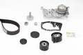 Continental CTAM CT1179WP3 Wasserpumpe + Zahnriemensatz für DACIA LADA RENAULT