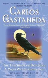 Die Lehren von Don Juan: Ein Yaqui-Weg der Erkenntnis von Castaneda, Carlos