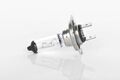 10x Glühlampe, Fernscheinwerfer BOSCH 1 987 302 079 für ABARTH ALFA ROMEO