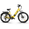 Elektrofahrrad 48V 17AH Akku City ebike 26 Zoll eBike 250W E Mountainbike 25km/h
