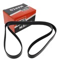MAPCO KEILRIPPENRIEMEN 1735mm passend für ALFA ROMEO 159 AUDI A1 A3 A4 BMW 3 Z3