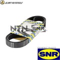 KEILRIPPENRIEMEN CA6PK1432 FÜR FORD TRANSIT/Bus/Van/Platform/Chassis/TOURNEO