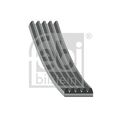 FEBI BILSTEIN 28882 Keilrippenriemen für AUDI KIA VW