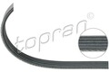 Topran 500 683 Keilrippenriemen für BMW CITROËN Riementrieb