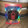 PANINI ADRENALYN XL PREMIER LEAGUE BONES PLUS 2025 CARD NOTTINGHAM FOREST 