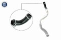 VAICO Ladeluftschlauch für FORD V25-1023