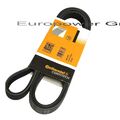 CONTI Keilrippenriemen 6PK1538 für BMW NEU.