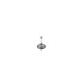 Glühlampe, Fernscheinwerfer BOSCH 1 987 301 423 passend für