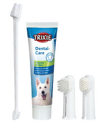 Zahnpflege-Set Zahnpasta Zahnbürste Hund Trixie DMC