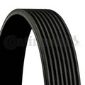 CONTINENTAL CTAM Keilrippenriemen 8PK1475 für BMW