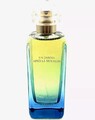 HERMES UN JARDIN APRES LA MOUSSON 100ML EDT Spray Monsoon Garden Discontinued 💞