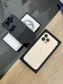 Apple iPhone 13 Pro - 256GB - Gold (Ohne Simlock) (Dual - SIM)