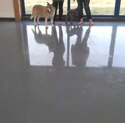 10kg SCHIEFERGRAU glänzend   2K-Epoxidharz Epoxy Bodenbeschichtung Garagenfarbe