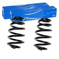 2X SKF FAHRWERKSFEDERN FEDERN HINTEN passend für AUDI A4 SEAT EXEO