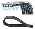 DAYCO 6PK1429 Keilrippenriemen für AUDI,SEAT,SKODA,VW