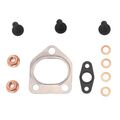 REINZ 04-10029-01 Montagesatz Turbolader für BMW 3 Touring (E91) 5 Touring (E61)