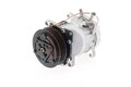 AKS DASIS Kompressor Klima Klimaanlage Klimakompressor 850887N