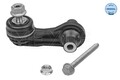 Meyle Stange/Strebe, Stabilisator 116 060 0039 für AUDI CUPRA SEAT SKODA
