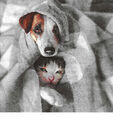 3 Servietten Tiere Hund und Katze unter einer Decke   💙