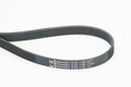 CONTINENTAL CTAM Keilrippenriemen 6PK1130 für CITROËN PEUGEOT RENAULT DACIA