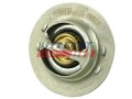 FAST FT58009 Thermostat, coolant for DACIA,LADA,NISSAN,OPEL,RENAULT,VAUXHALL