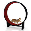 Katzenlaufrad - rot, das Katzenspielzeug für ausreichend Auslauf & Fitness