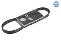MEYLE KEILRIPPENRIEMEN 6PK788mm passend für SEAT CORDOBA IBIZA SKODA FABIA