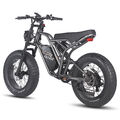 Fafrees Elektrofahrrad 20 Zoll Fettreifen E Bike 25AH Fatbike 750W Shimano EU