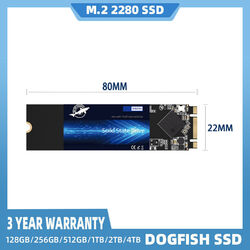 DOGFISH M.2 2280 SSD 256GB 512GB 1TB 2t 4t Computer Festplatte Solid State Drive