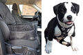 Für Hundetasche Auto Sitzschoner multifunktionel Tasche faltbar neu für Shiba In