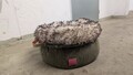 Katzenbett , Hundebett