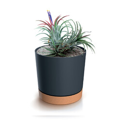 Blumentopf Übertopf Tubo Prosperplast Blumenkübel mit EcoHolz Untersetzer Rund