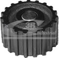 Riemenscheibe Wasserpumpe 3RG 13736 für VW BORA 1 1J2 GOLF 4 1J1 Variant 1J5 6V5